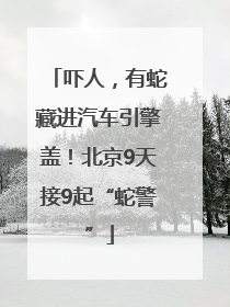 吓人，有蛇藏进汽车引擎盖！北京9天接9起“蛇警”