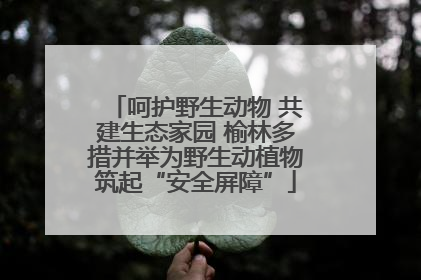 呵护野生动物 共建生态家园 榆林多措并举为野生动植物筑起“安全屏障”