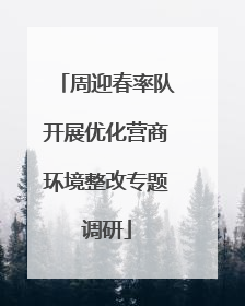 周迎春率队开展优化营商环境整改专题调研