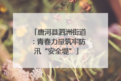 唐河县泗洲街道：青春力量筑牢防汛“安全堤”