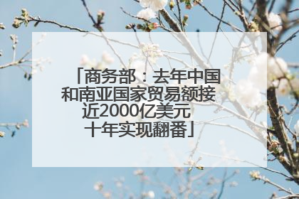 商务部：去年中国和南亚国家贸易额接近2000亿美元 十年实现翻番
