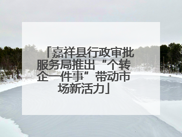 嘉祥县行政审批服务局推出“个转企一件事”带动市场新活力