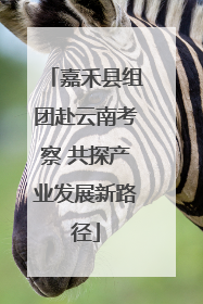 嘉禾县组团赴云南考察 共探产业发展新路径