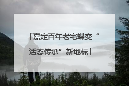 嘉定百年老宅蝶变“活态传承”新地标