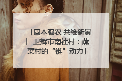 固本强农 共绘新景 ︳卫辉市南社村：蔬菜村的“链”动力
