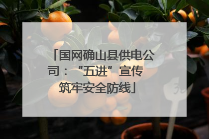 国网确山县供电公司：“五进”宣传 筑牢安全防线