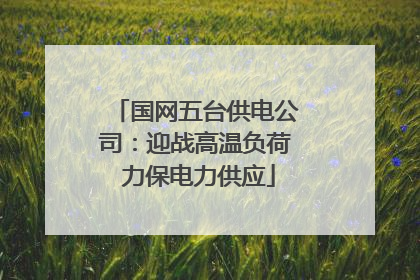 国网五台供电公司：迎战高温负荷 力保电力供应