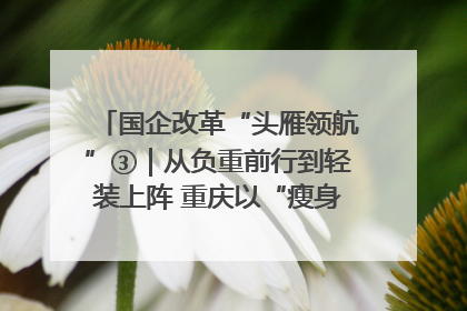 国企改革“头雁领航”③｜从负重前行到轻装上阵 重庆以“瘦身”谋“健体”