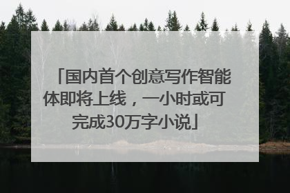 国内首个创意写作智能体即将上线，一小时或可完成30万字小说