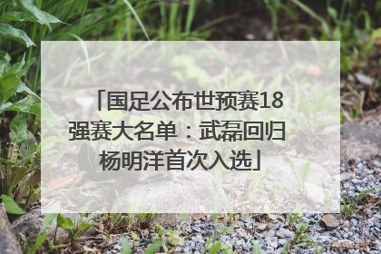 国足公布世预赛18强赛大名单：武磊回归 杨明洋首次入选