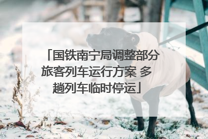国铁南宁局调整部分旅客列车运行方案 多趟列车临时停运