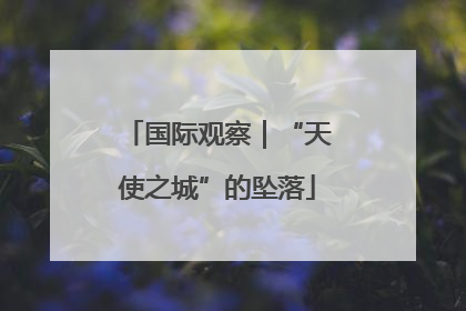 国际观察｜“天使之城”的坠落
