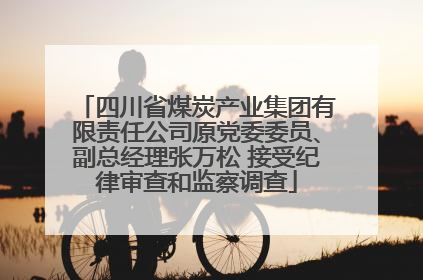 四川省煤炭产业集团有限责任公司原党委委员、副总经理张万松 接受纪律审查和监察调查