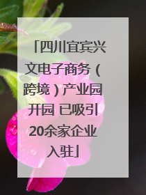四川宜宾兴文电子商务（跨境）产业园开园 已吸引20余家企业入驻