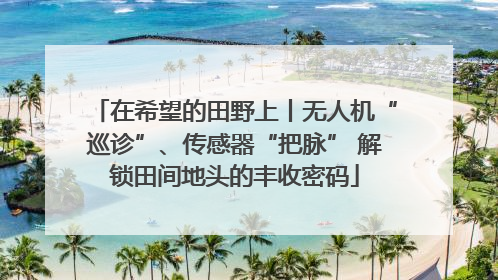 在希望的田野上丨无人机“巡诊”、传感器“把脉” 解锁田间地头的丰收密码