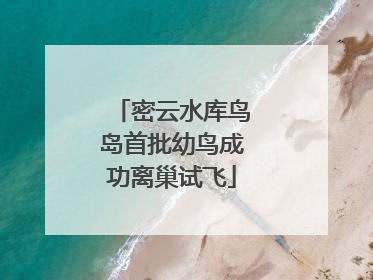密云水库鸟岛首批幼鸟成功离巢试飞