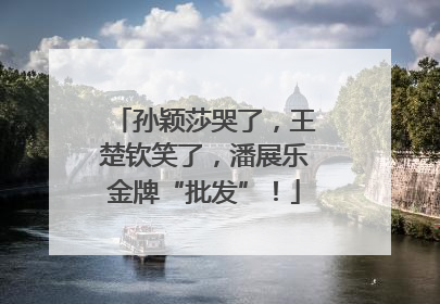 孙颖莎哭了，王楚钦笑了，潘展乐金牌“批发”！