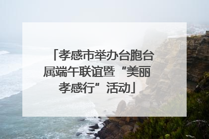 孝感市举办台胞台属端午联谊暨“美丽孝感行”活动