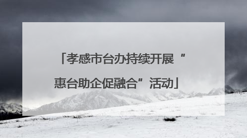 孝感市台办持续开展“惠台助企促融合”活动