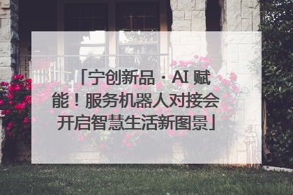 宁创新品・AI 赋能！服务机器人对接会开启智慧生活新图景