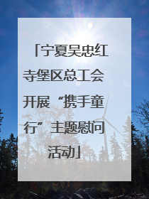宁夏吴忠红寺堡区总工会开展“携手童行”主题慰问活动