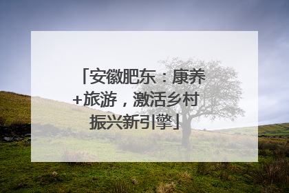 安徽肥东：康养+旅游，激活乡村振兴新引擎