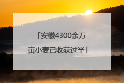安徽4300余万亩小麦已收获过半