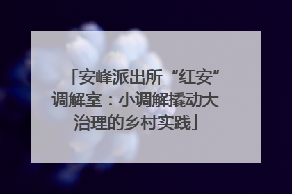 安峰派出所“红安”调解室：小调解撬动大治理的乡村实践
