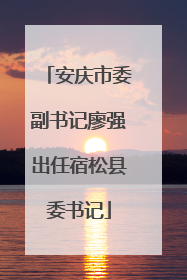 安庆市委副书记廖强出任宿松县委书记