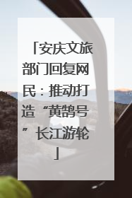 安庆文旅部门回复网民：推动打造“黄鹄号”长江游轮