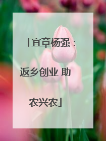 宜章杨强：返乡创业 助农兴农
