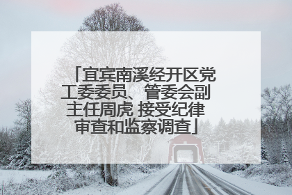 宜宾南溪经开区党工委委员、管委会副主任周虎 接受纪律审查和监察调查