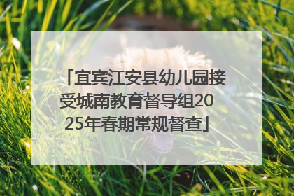 宜宾江安县幼儿园接受城南教育督导组2025年春期常规督查