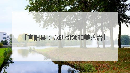 宜阳县：党建引领和美善治