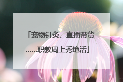 宠物针灸、直播带货……职教周上秀绝活