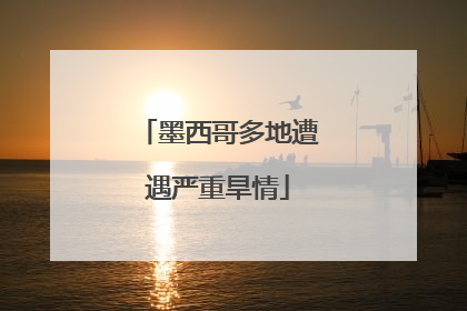 墨西哥多地遭遇严重旱情
