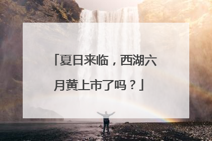 夏日来临，西湖六月黄上市了吗？