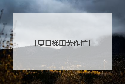 夏日梯田劳作忙