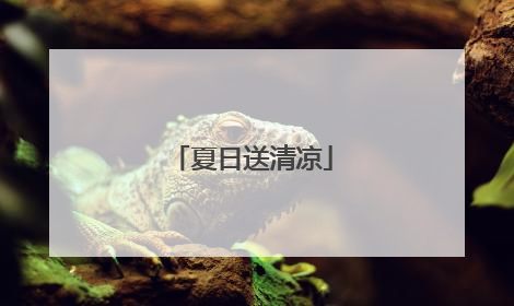 夏日送清凉