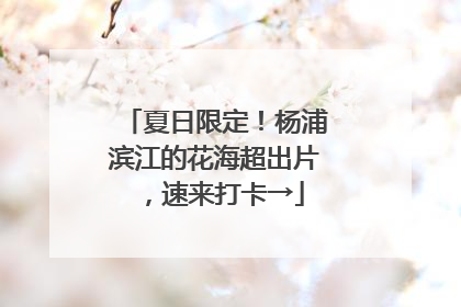 夏日限定！杨浦滨江的花海超出片，速来打卡→