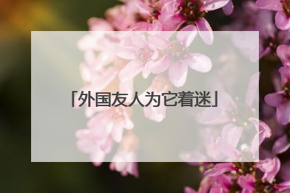 外国友人为它着迷