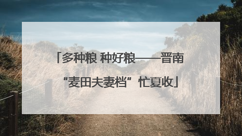 多种粮 种好粮——晋南“麦田夫妻档”忙夏收