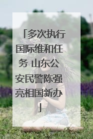 多次执行国际维和任务 山东公安民警陈强亮相国新办