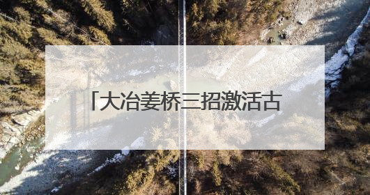 大冶姜桥三招激活古村 “灵韵基因”