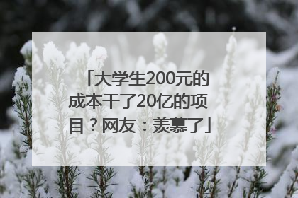 大学生200元的成本干了20亿的项目？网友：羡慕了