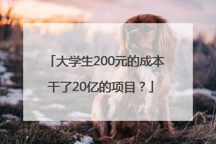 大学生200元的成本干了20亿的项目？