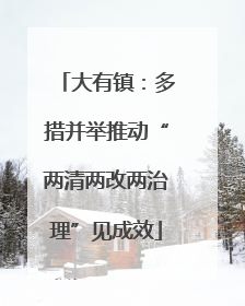 大有镇：多措并举推动“两清两改两治理”见成效