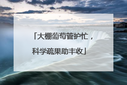 大棚葡萄管护忙，科学疏果助丰收