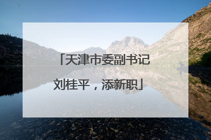 天津市委副书记刘桂平，添新职