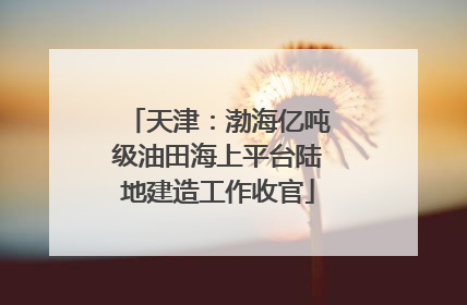 天津：渤海亿吨级油田海上平台陆地建造工作收官